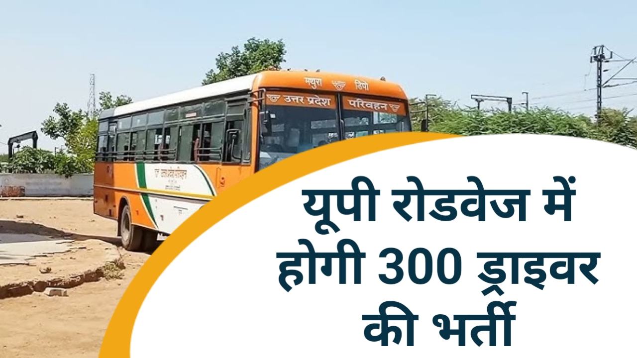 Rojgar Mela: यूपी रोडवेज में ड्राइवर बनने का गोल्डन चांस , 300 पदों पर होगी भर्ती देखें कैसे भरें फॉर्म
